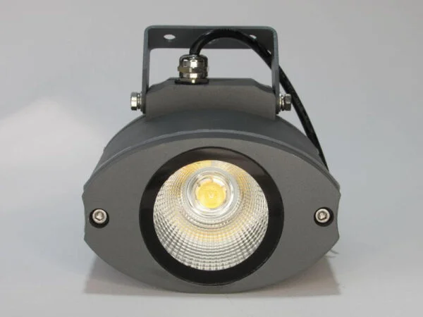 an image that show you the front side photo of a projector led loop