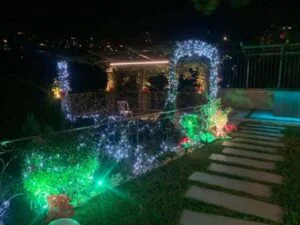 a garden designed by projector loop light their plants