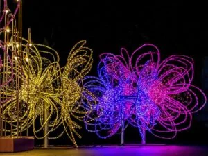 Lights LED colored