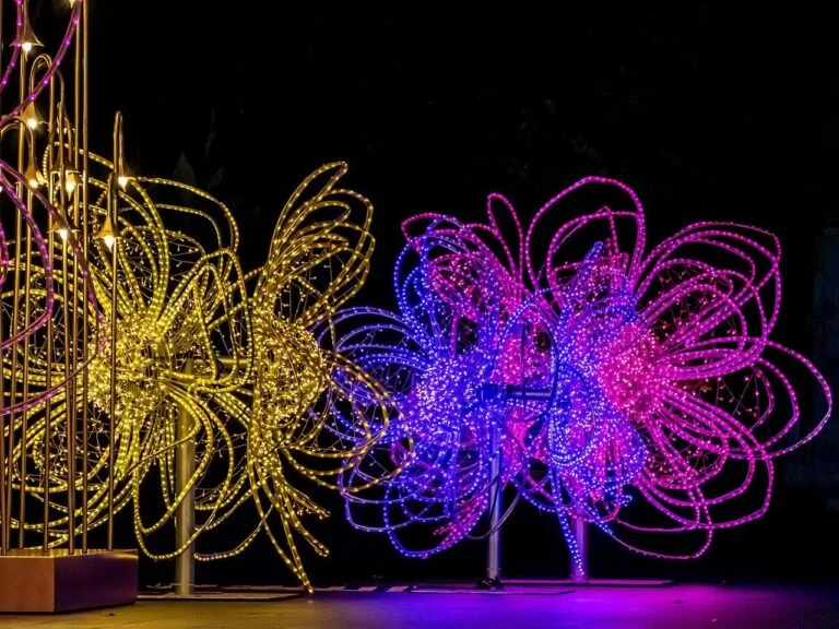 Lights LED colored